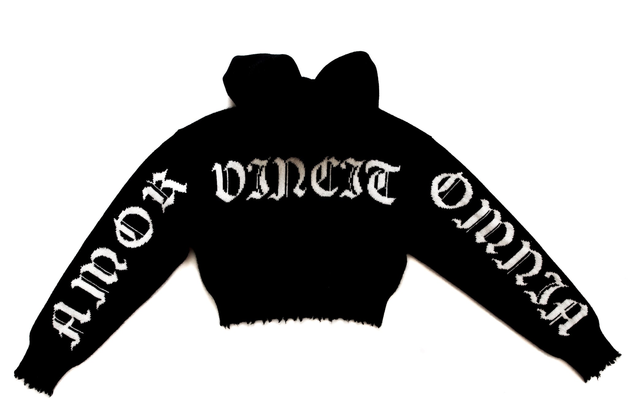 Amor Vincit Omnia Cropped Cashmere Hoodie (Black)